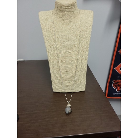 Chico's Long Translucent Pendant Necklace New with Tags Silver Tone 32" Stunning - Picture 6 of 7